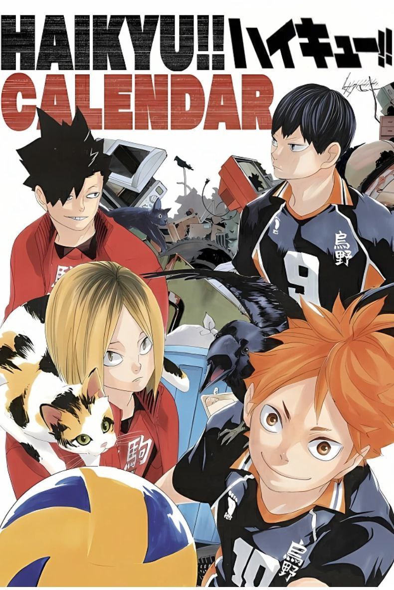 Haikyuu!! cosplay outfits: Karasuno, Aoba, Saijo, Shiratorizawa, Date Kou, Inarisaki, Kurorou school uniform/team uniform